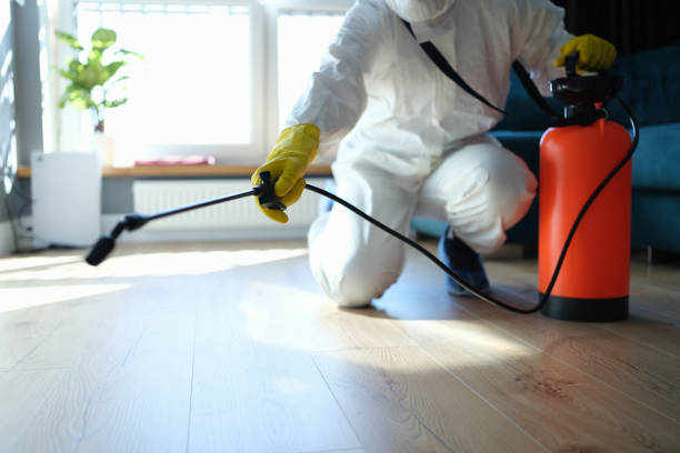 Reliable Sewage Cleanup contractor in Pemberton, NJ by Trauma Clean Pros